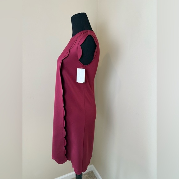 TED BAKER JASMINT SCALLOP OVERLAY MAROON DRESS size 0 NWOT $279 - Picture 3 of 10